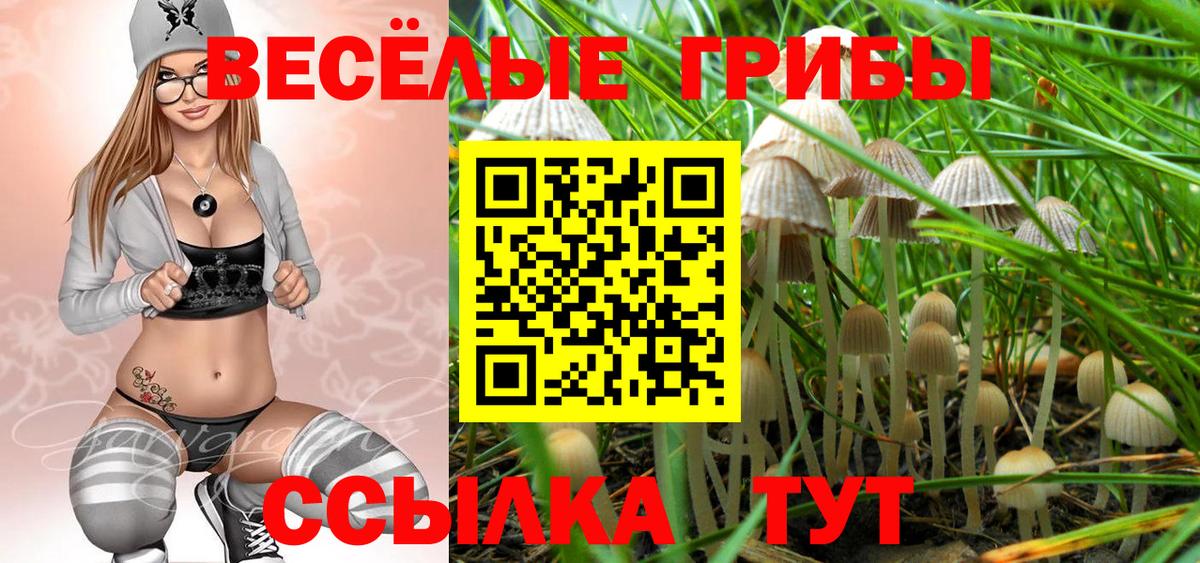 Псилоцибиновые грибы Cubensis  Вход с VPN  Галлюциногенные грибы ЛСД  Приморско-Ахтарск 